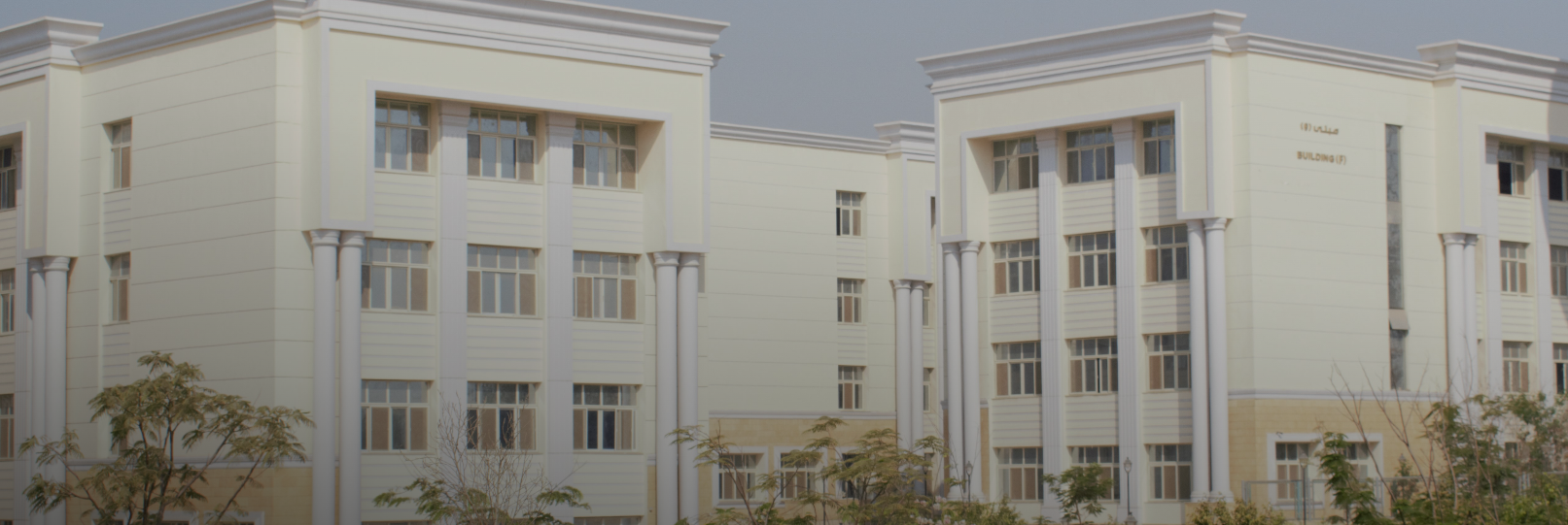 تنسيق جامعة حلوان الأهلية 2025